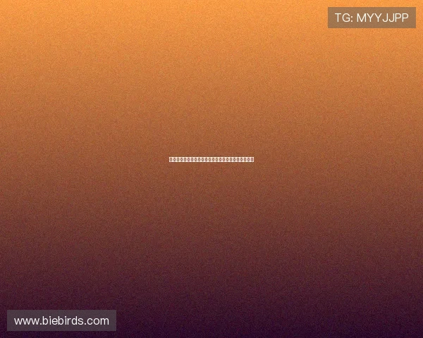 多特蒙德全力推动施洛特贝克续约但球员态度仍未明朗