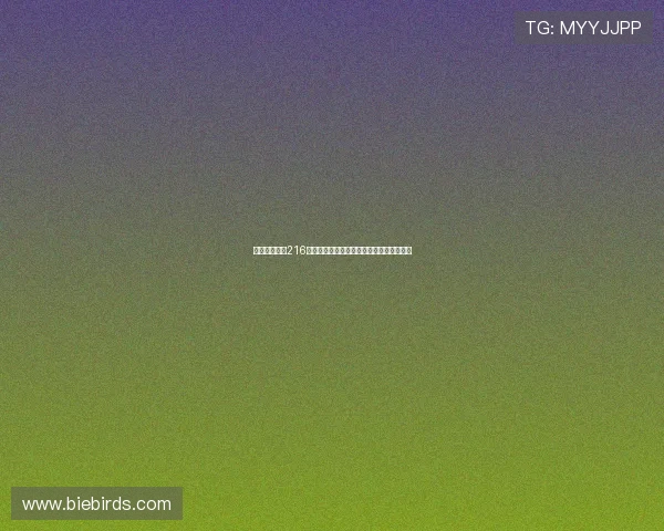 切尔西以平均216岁首发创纪录成欧冠近十五季第八年轻球队