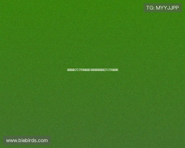 拜仁主场迎2028年欧冠决赛 诺坎普与温布利争夺2029年主办权